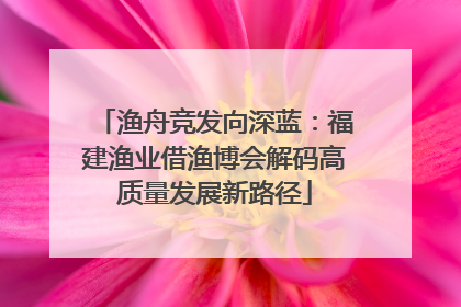 渔舟竞发向深蓝：福建渔业借渔博会解码高质量发展新路径