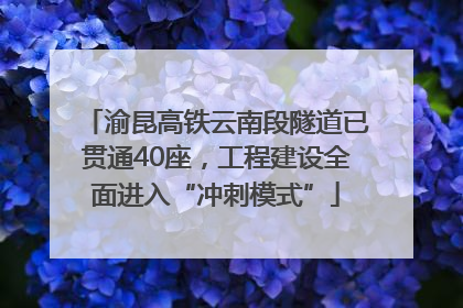 渝昆高铁云南段隧道已贯通40座，工程建设全面进入“冲刺模式”