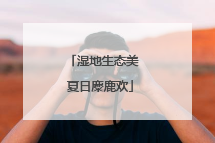 湿地生态美 夏日麋鹿欢