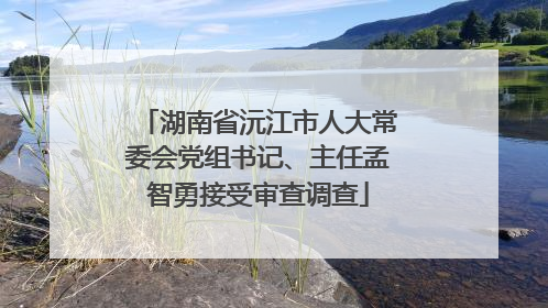 湖南省沅江市人大常委会党组书记、主任孟智勇接受审查调查