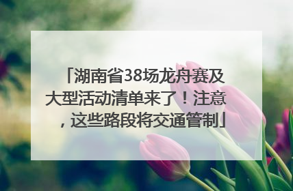 湖南省38场龙舟赛及大型活动清单来了！注意，这些路段将交通管制