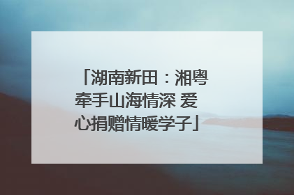 湖南新田：湘粤牵手山海情深 爱心捐赠情暖学子