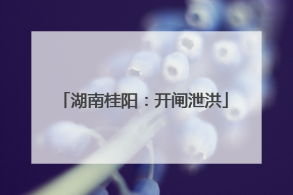 湖南桂阳：开闸泄洪