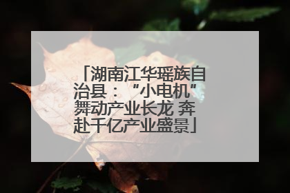 湖南江华瑶族自治县：“小电机”舞动产业长龙 奔赴千亿产业盛景