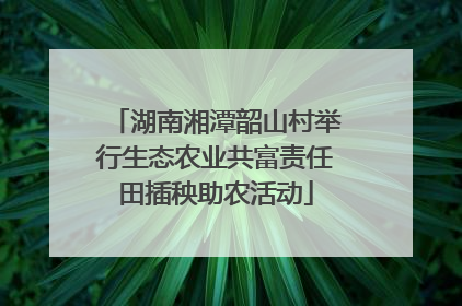 湖南湘潭韶山村举行生态农业共富责任田插秧助农活动