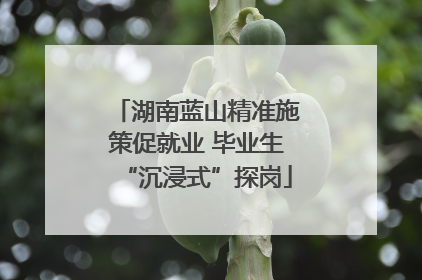 湖南蓝山精准施策促就业 毕业生“沉浸式”探岗