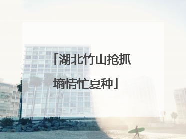 湖北竹山抢抓墒情忙夏种