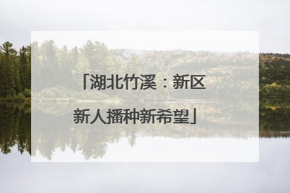 湖北竹溪：新区新人播种新希望