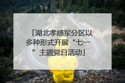 湖北孝感军分区以多种形式开展“七一”主题党日活动