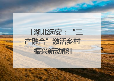 湖北远安：“三产融合”激活乡村振兴新动能