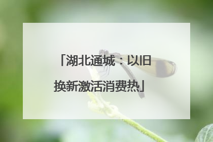 湖北通城：以旧换新激活消费热