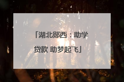 湖北郧西：助学贷款 助梦起飞