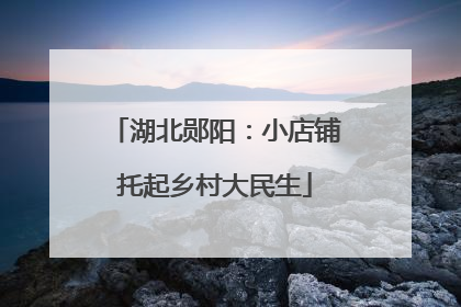 湖北郧阳：小店铺托起乡村大民生