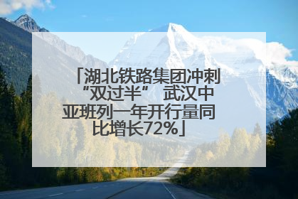 湖北铁路集团冲刺“双过半” 武汉中亚班列一年开行量同比增长72%