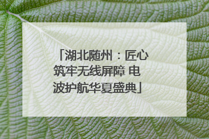 湖北随州：匠心筑牢无线屏障 电波护航华夏盛典