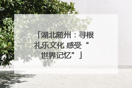 湖北随州：寻根礼乐文化 感受“世界记忆”