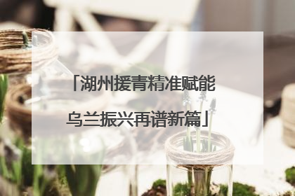 湖州援青精准赋能 乌兰振兴再谱新篇