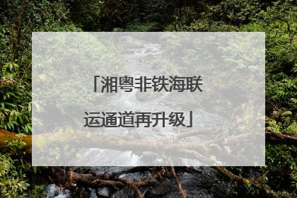 湘粤非铁海联运通道再升级