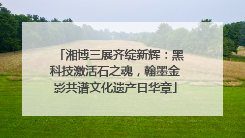 湘博三展齐绽新辉：黑科技激活石之魂，翰墨金影共谱文化遗产日华章