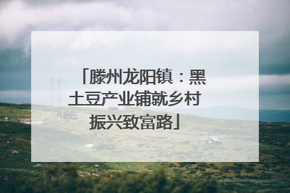 滕州龙阳镇：黑土豆产业铺就乡村振兴致富路