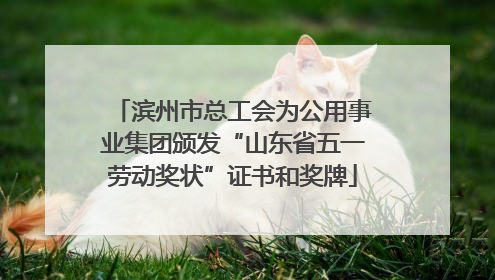 滨州市总工会为公用事业集团颁发“山东省五一劳动奖状”证书和奖牌
