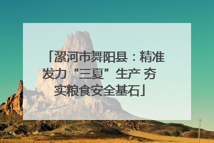 漯河市舞阳县：精准发力“三夏”生产 夯实粮食安全基石