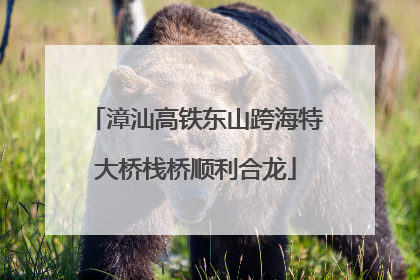 漳汕高铁东山跨海特大桥栈桥顺利合龙