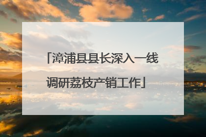 漳浦县县长深入一线调研荔枝产销工作