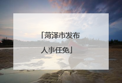 菏泽市发布人事任免