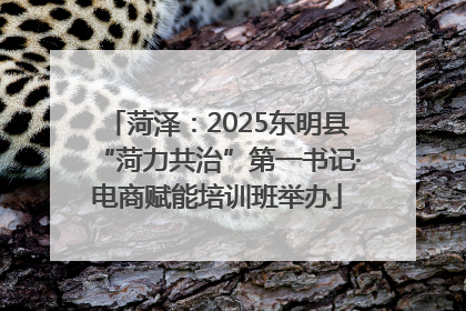 菏泽：2025东明县“菏力共治”第一书记·电商赋能培训班举办