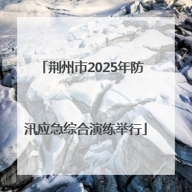 荆州市2025年防汛应急综合演练举行