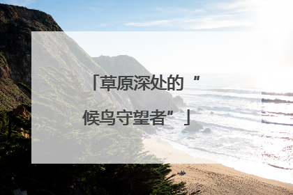 草原深处的“候鸟守望者”