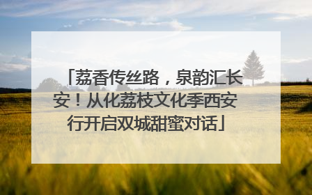 荔香传丝路，泉韵汇长安！从化荔枝文化季西安行开启双城甜蜜对话