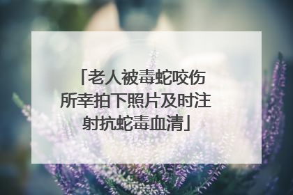 老人被毒蛇咬伤 所幸拍下照片及时注射抗蛇毒血清