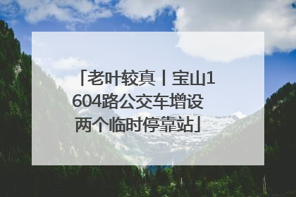 老叶较真丨宝山1604路公交车增设两个临时停靠站