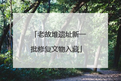 老故堆遗址新一批修复文物入藏