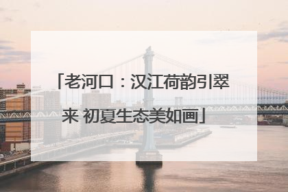 老河口：汉江荷韵引翠来 初夏生态美如画