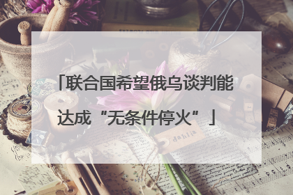 联合国希望俄乌谈判能达成“无条件停火”