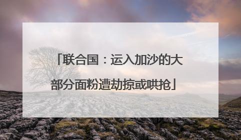 联合国：运入加沙的大部分面粉遭劫掠或哄抢