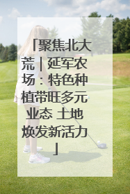 聚焦北大荒｜延军农场：特色种植带旺多元业态 土地焕发新活力