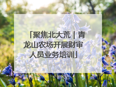 聚焦北大荒｜青龙山农场开展财审人员业务培训