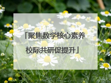 聚焦数学核心素养 校际共研促提升
