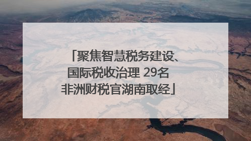 聚焦智慧税务建设、国际税收治理 29名非洲财税官湖南取经