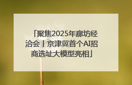 聚焦2025年廊坊经洽会丨京津冀首个AI招商选址大模型亮相
