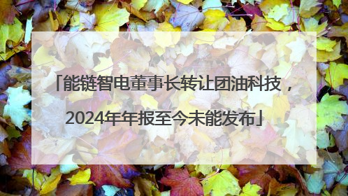 能链智电董事长转让团油科技，2024年年报至今未能发布