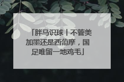 胖马识球丨不管美加墨还是西葡摩，国足唯留一地鸡毛