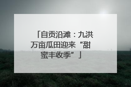 自贡沿滩：九洪万亩瓜田迎来“甜蜜丰收季”