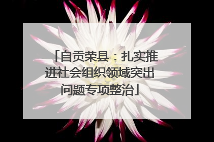 自贡荣县：扎实推进社会组织领域突出问题专项整治