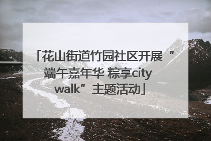 花山街道竹园社区开展“端午嘉年华 粽享city walk”主题活动