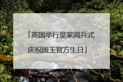 英国举行皇家阅兵式庆祝国王官方生日